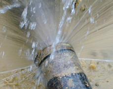 York Plumbing & Drains leak detection